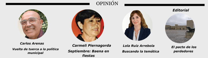 opinion